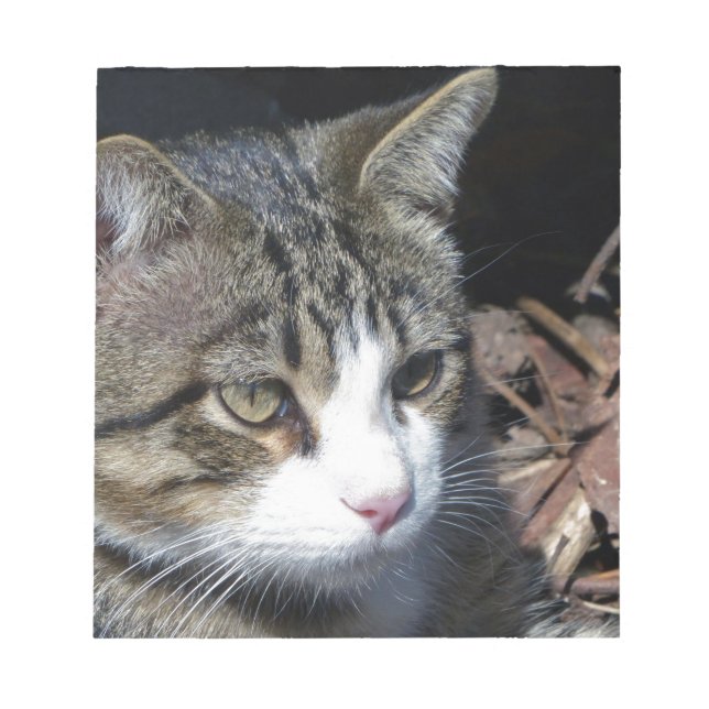 Bloc De Notas Vigilancia de aves (Frente)