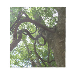 Bloc De Notas viñas viejas enredadas en el árbol