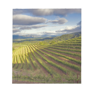 Bloc De Notas Viñedo. Valle de Napa. Napa. Condado de Napa,