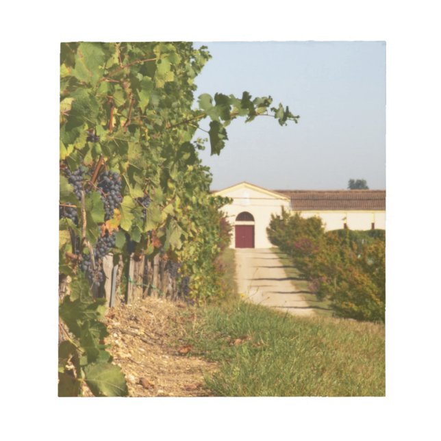 Bloc De Notas Viñedos, vides petit verdot y la bodega en (Frente)