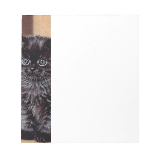 Bloc De Notas Vintage Halloween Black Kitten Ilustracion (Frente)