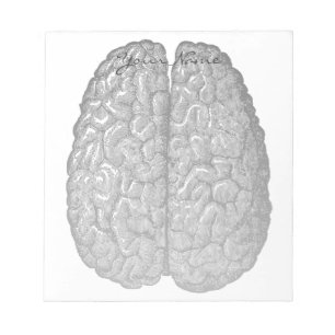 Bloc De Notas Vintage Human Brain Illustration