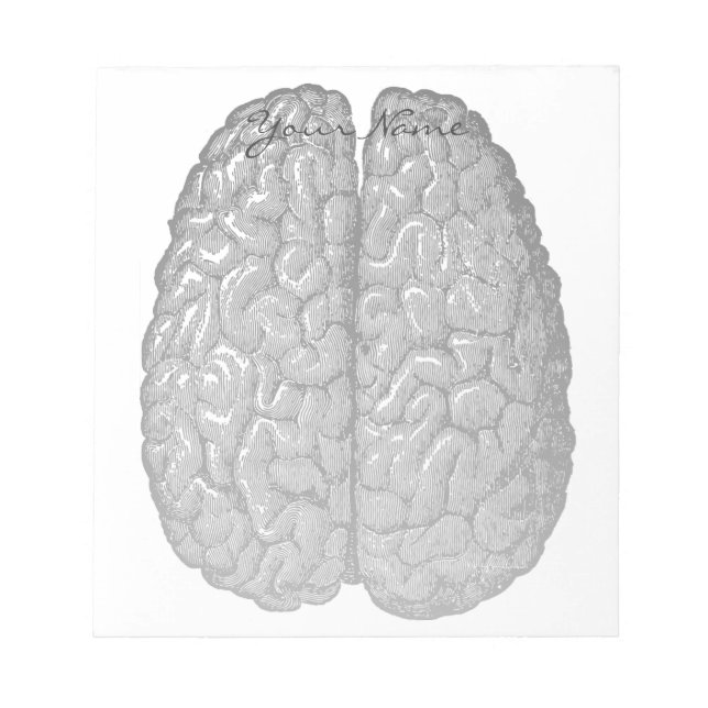 Bloc De Notas Vintage Human Brain Illustration (Frente)