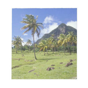 Bloc De Notas vista de Gros Piton a lo largo del sendero históri