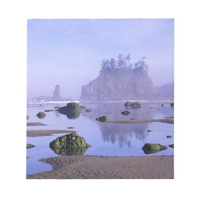 Bloc De Notas WA, Parque Nacional Olímpico, Segunda Playa, (Frente)