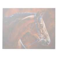 Warmblood Hanoverian