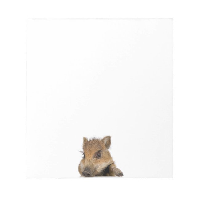 Bloc De Notas Warthog del bebé (Frente)