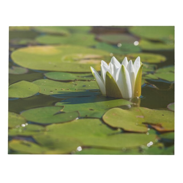 Bloc De Notas Water Lily Blossom (Frente)