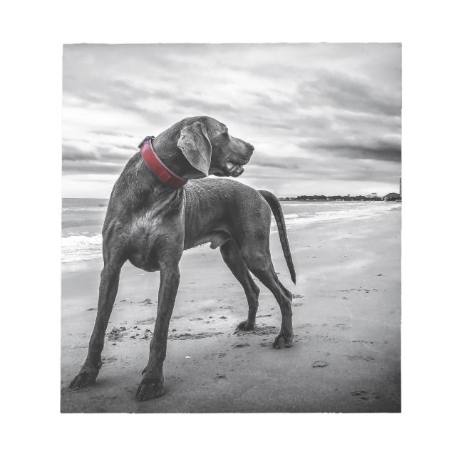 Bloc De Notas Weimaraner Dog (Frente)