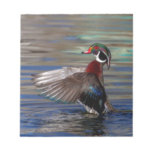 Bloc De Notas Wing Flapping Wood Duck