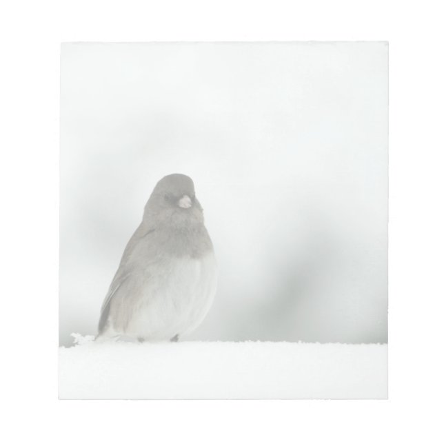 Bloc De Notas Winter Bird (Frente)