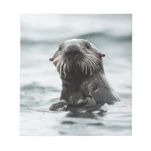 Bloc De Notas Wise Otter