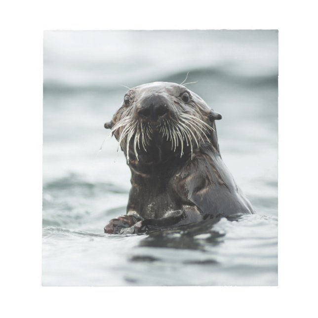 Bloc De Notas Wise Otter (Frente)