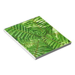 Bloc De Notas Woodland Ferns