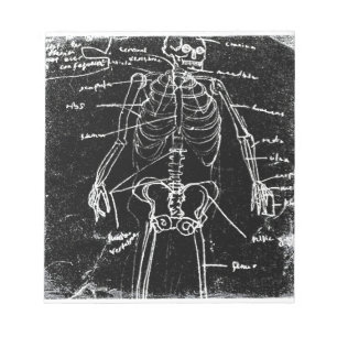 Bloc De Notas yaie tokyo esqueleto humano anatomía