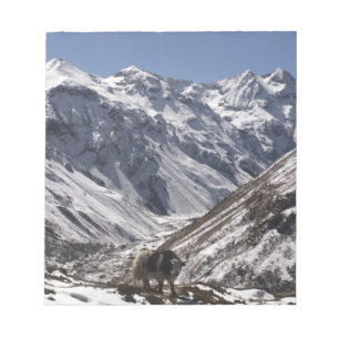 Bloc De Notas Yak cerca del Mt. Jhomolari, Jangothang Jigme Dorj