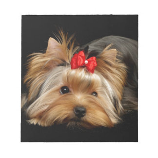 Bloc De Notas Yorkie adorable