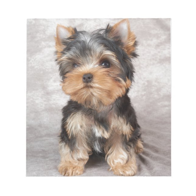Bloc De Notas Yorkie maravilloso (Frente)