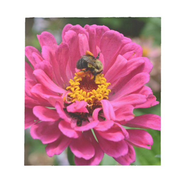 Bloc De Notas Zinnia rosa y abeja de burbujas (Frente)