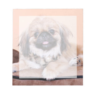 Bloc De Notas Zoe - Pekingese