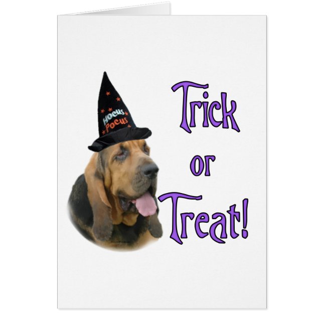 Bloodhound Trick (Frente)