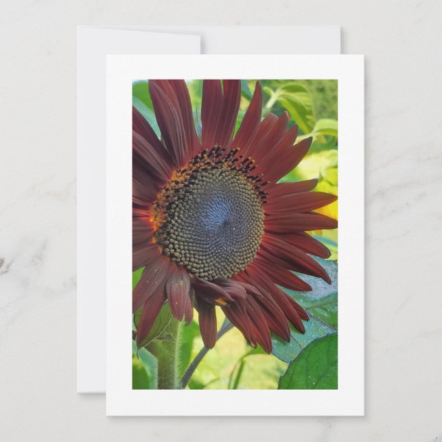 Bloom del Rojo Radiante: Invitación Personalizado (Anverso)