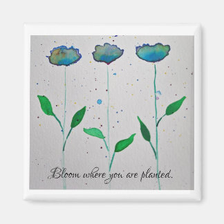 Bloom en el que te plantan imán