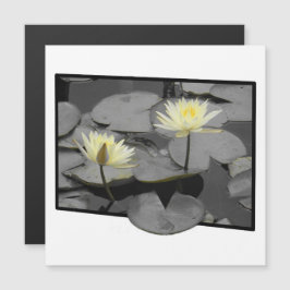 Bloom más allá de la tarjeta magnética del marco