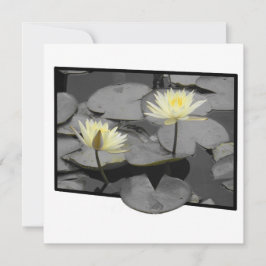 Bloom más allá de la tarjeta plana de marco