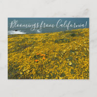 ¡Bloomers desde California! Postal