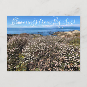 Bloomes desde California: Postales de Aster de Are