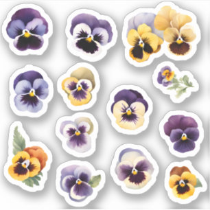 Blooming Happy Pansies Flower Pegatina Pack