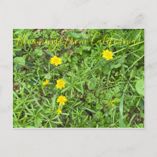 Bloomings desde California: Postales para Buttercu