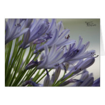 Blooms pequeños (5,0)