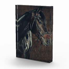 Bloque de fotos de caballos negros