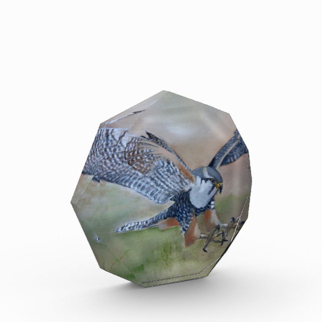 Bloque de fotos de Falcon (Izquierda)