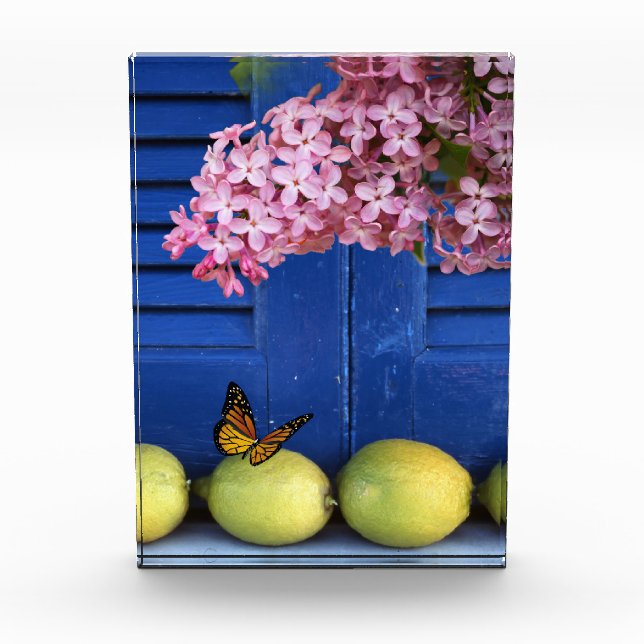 Bloque de fotos de limón de la ventana azul (Anverso)