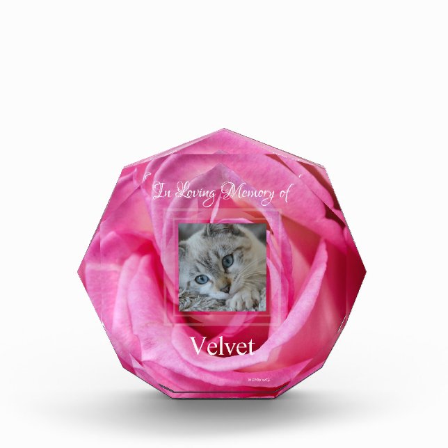 Bloque de fotos en acrílico rosa rosado HAMbyWG (Anverso)