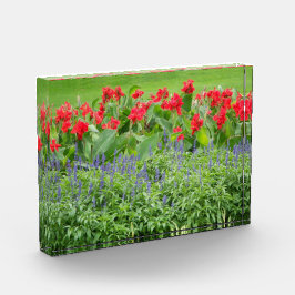 Bloque de fotos personalizado