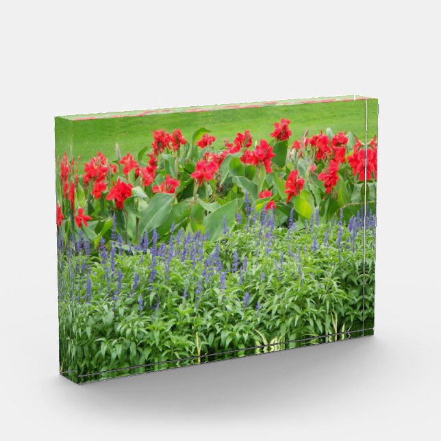 Bloque de fotos personalizado (Izquierda)