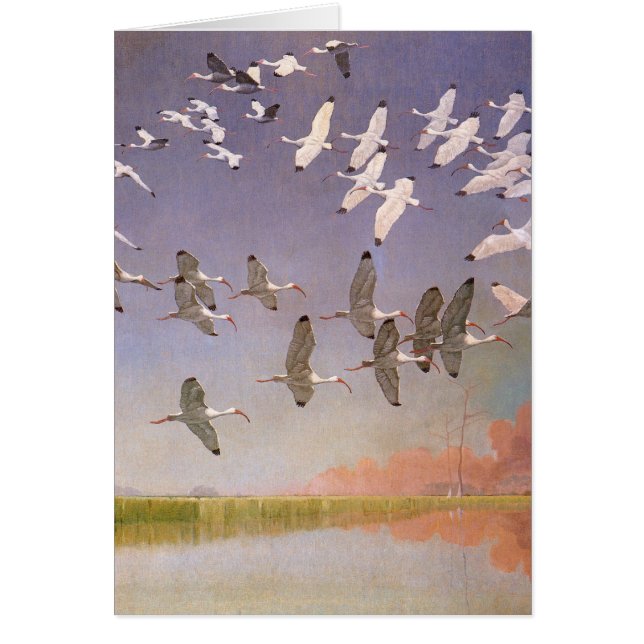 Bloque de Ibis volando sobre humedales, aves vitíc (Frente)