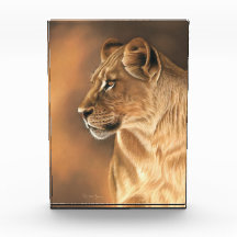 Bloque de la foto de la leona