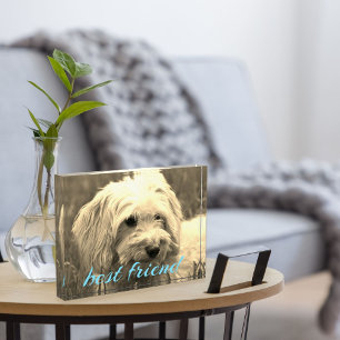 Bloque de la foto del perro del mejor amigo