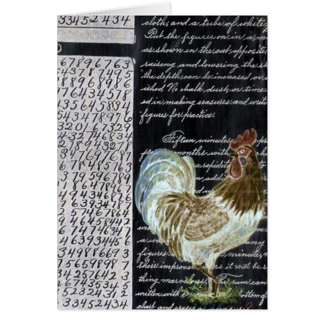 Bloque de pollo 2 (Frente)