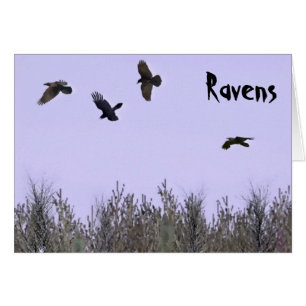 Bloque de Ravens