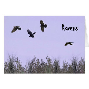 Bloque de Ravens
