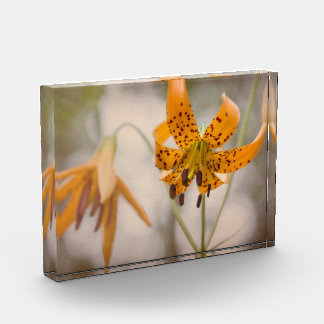 Bloque del este de la foto del Wildflower de los