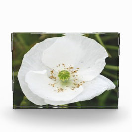 Bloque fotográfico con flores