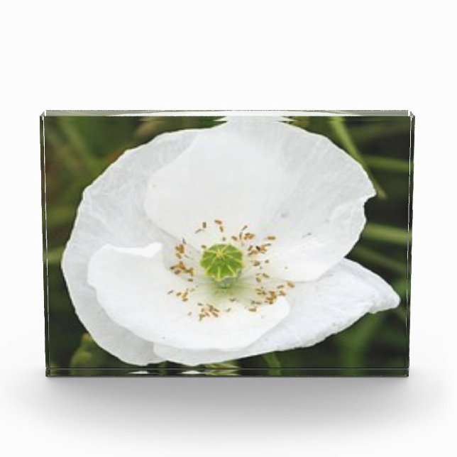 Bloque fotográfico con flores (Anverso)