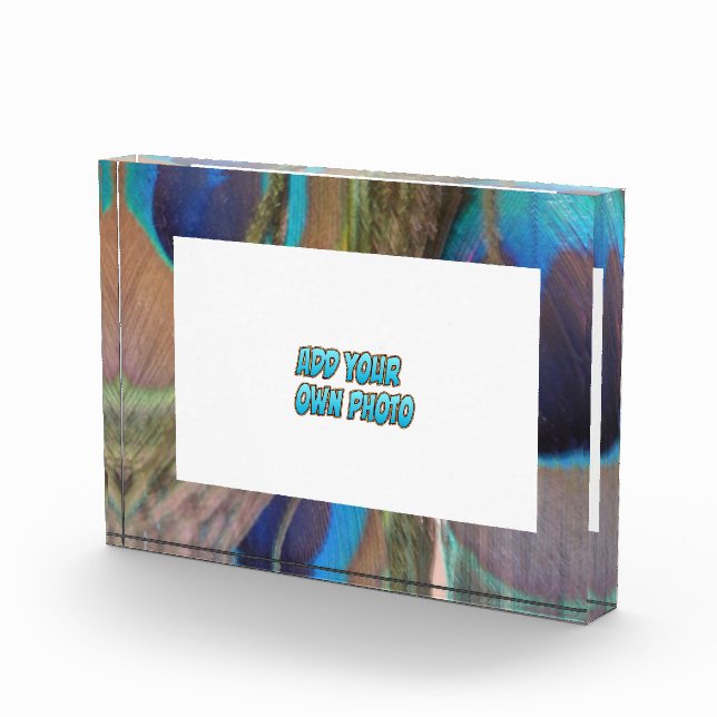 Bloque fotográfico de Peacock Feathers Personaliza (Derecha)